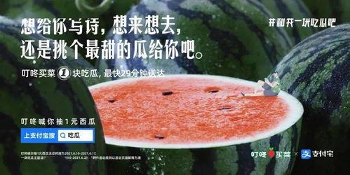 就是喜欢吃瓜文案,揭秘那些让人欲罢不能的瓜类美味