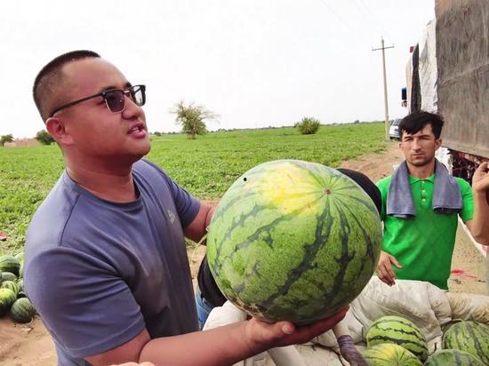 每日一食吃瓜,瓜果飘香，夏日清凉美食之旅