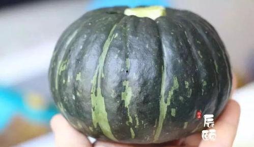栗子瓜与贝贝瓜怎么吃,栗子瓜与贝贝瓜的多样食法探索