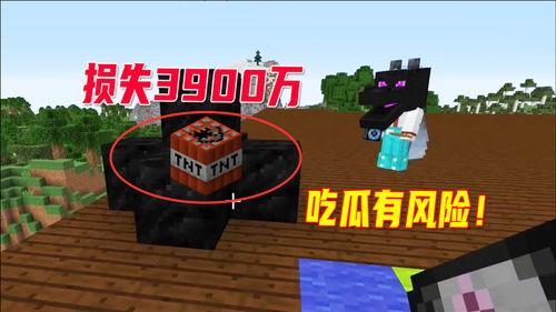 tnt吃瓜图片,揭秘娱乐圈幕后风云