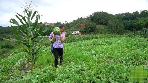 桃子姐吃瓜视频,揭秘娱乐圈幕后真相