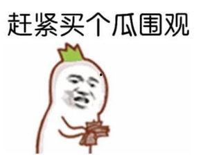 吃瓜群众凝视猪头,揭秘网络现象背后的心理奥秘