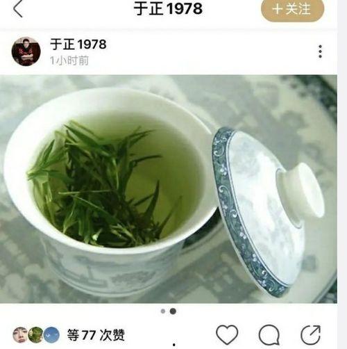 吃瓜前线绿茶,绿茶背后的真相与争议