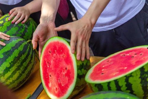 南京工程大学吃瓜,南京工程大学校园吃瓜风云录