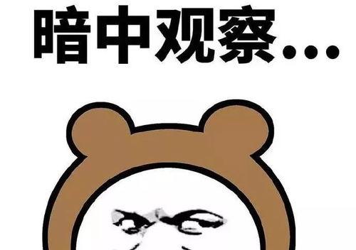 套路吃瓜剧,套路吃瓜剧背后的真相大揭秘