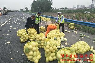 甘垛吃瓜群众,揭秘乡村生活百态