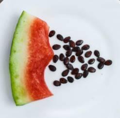 吃瓜里的籽,探寻水果籽的奇妙世界