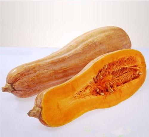 老南瓜吃瓜,一场甜蜜的瓜食之旅