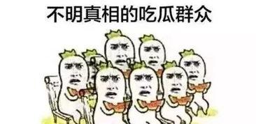 年代文的吃瓜群众,吃瓜群众的视角看时代变迁